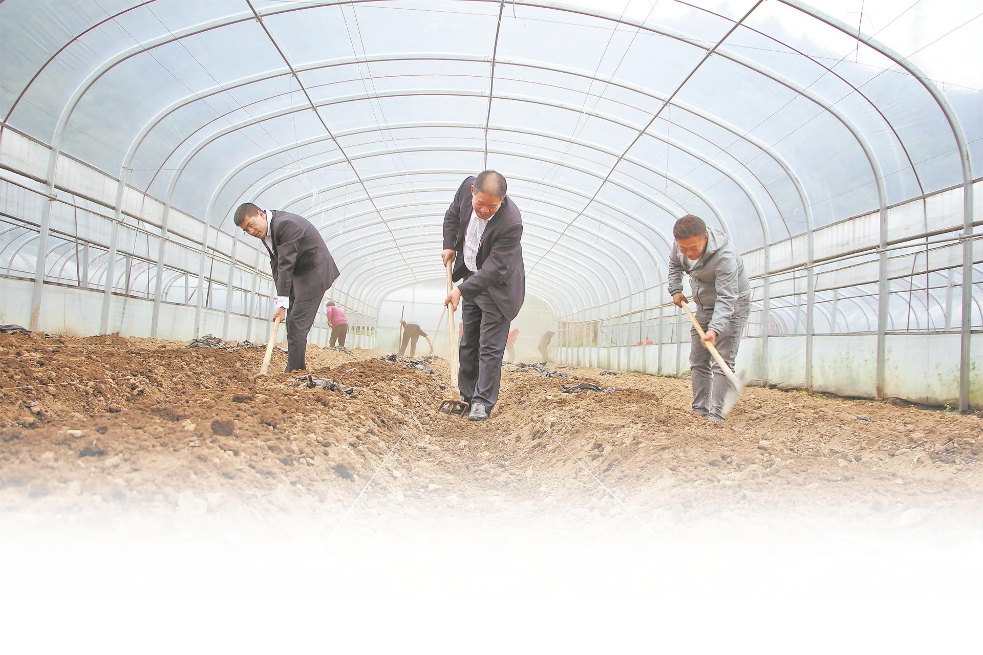 坚守——记中国工商银行渭南华州区金堆支行营业室主任韩胜利