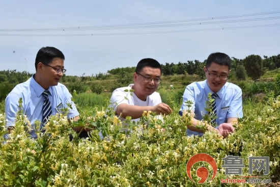 邮储银行广水支行助力乡村振兴,邮储银行郯城县支行