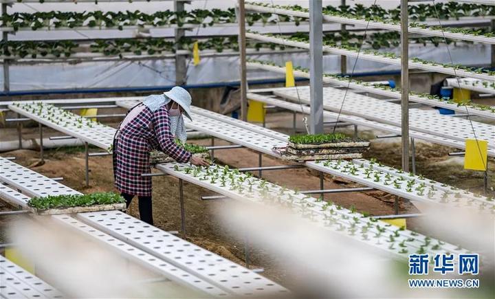 综合实力大幅跃升，递出“温暖”新名片……奔跑吧，曲靖