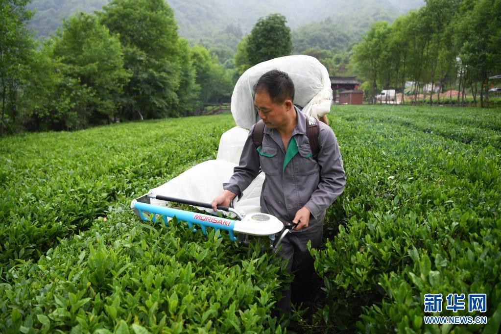奋斗百年路启航新征程甘肃篇,奋斗百年路启航新征程陕西篇