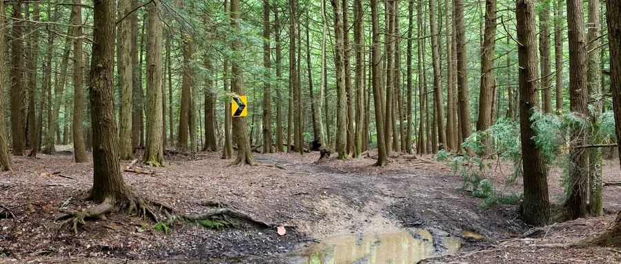 广州子宫疤痕憩室如何修复,瘢痕憩室引起妇科炎症怎么办