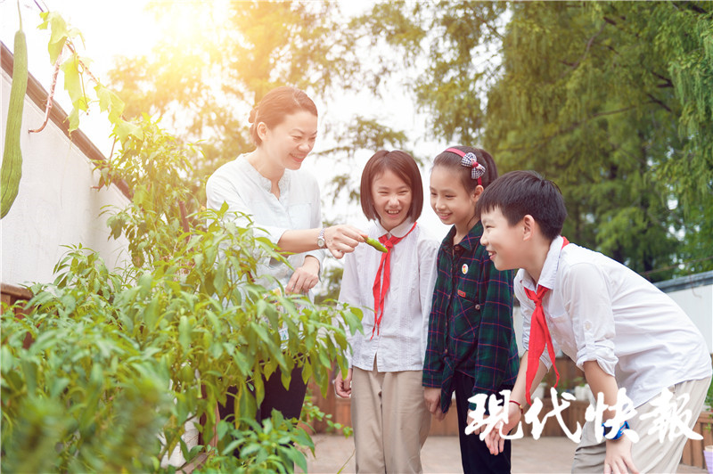 乐韵童心,逐梦成长!在南京市南昌路小学寻找快乐源泉