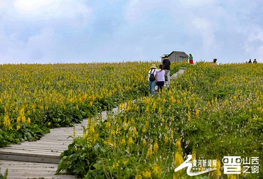 如画沁水展览馆,如画沁水视频介绍