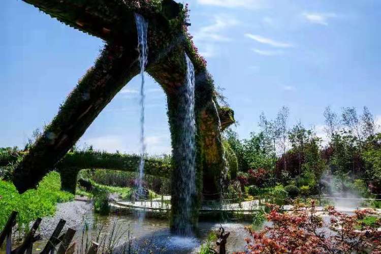 吉林有三宝,人参鹿茸乌拉草!来花博会坐“小火车”欣赏吉林自然风光|花博探馆①