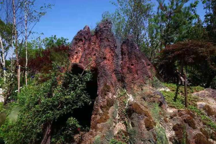 吉林有三宝,人参鹿茸乌拉草!来花博会坐“小火车”欣赏吉林自然风光|花博探馆①