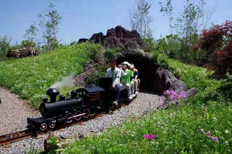 吉林有三宝,人参鹿茸乌拉草!来花博会坐“小火车”欣赏吉林自然风光|花博探馆①