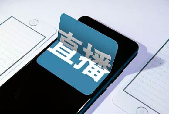 媒体评薇娅因偷逃税被罚,薇娅再陷售假疑云