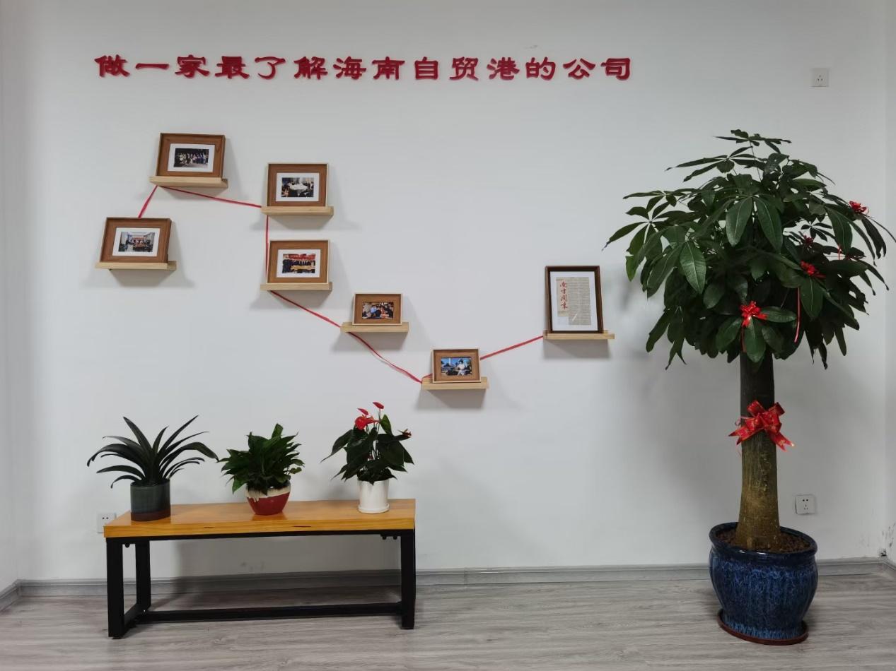 到海南旅游哪里住便宜,去海南过年流程怎么走最快