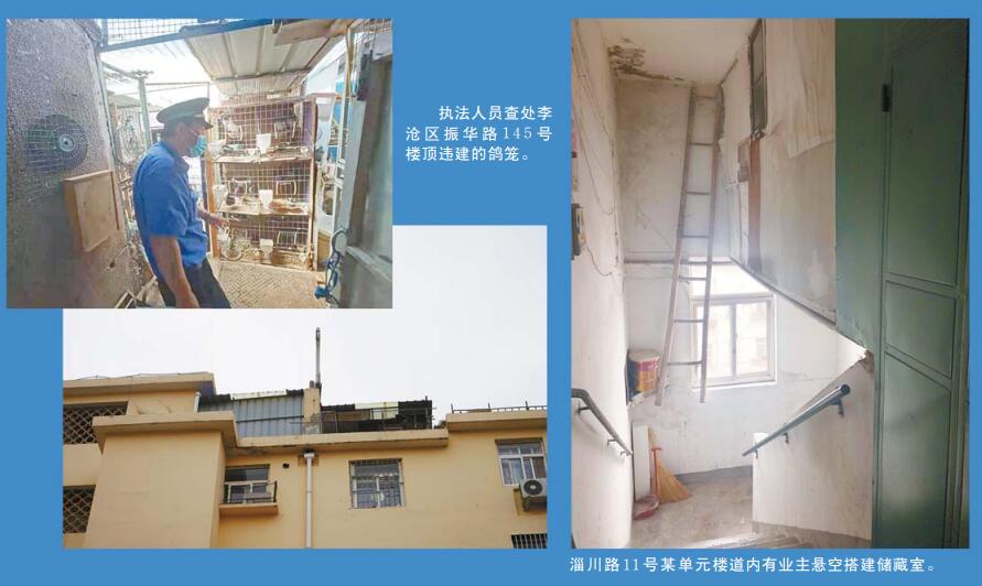 邻居在楼上搞养鸡很臭是否已违法,城里楼顶养鸡臭气难闻怎么举报