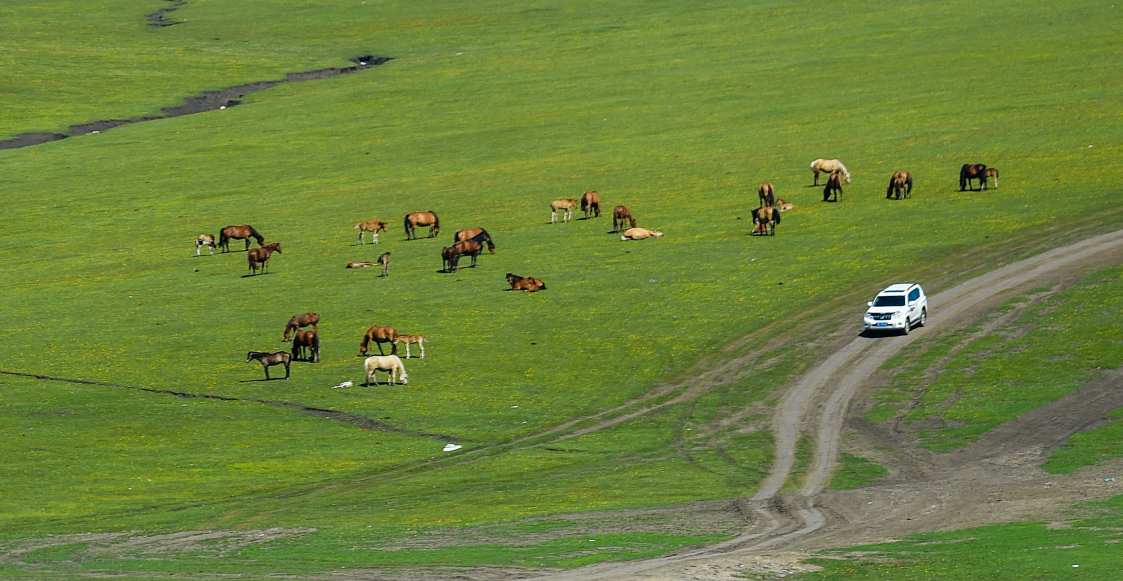 呼伦贝尔大草原服装视频,草原呼伦贝尔穿搭