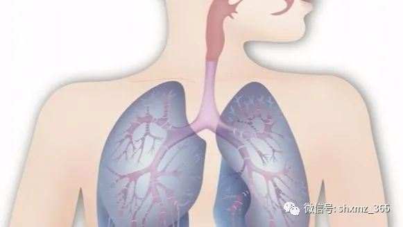 挖鼻孔的危害，你可能不知道，过于频繁会对身体造成损害