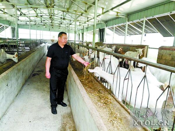 湘乡农业农村经济发展,湖南湘乡市乡村振兴战略规划