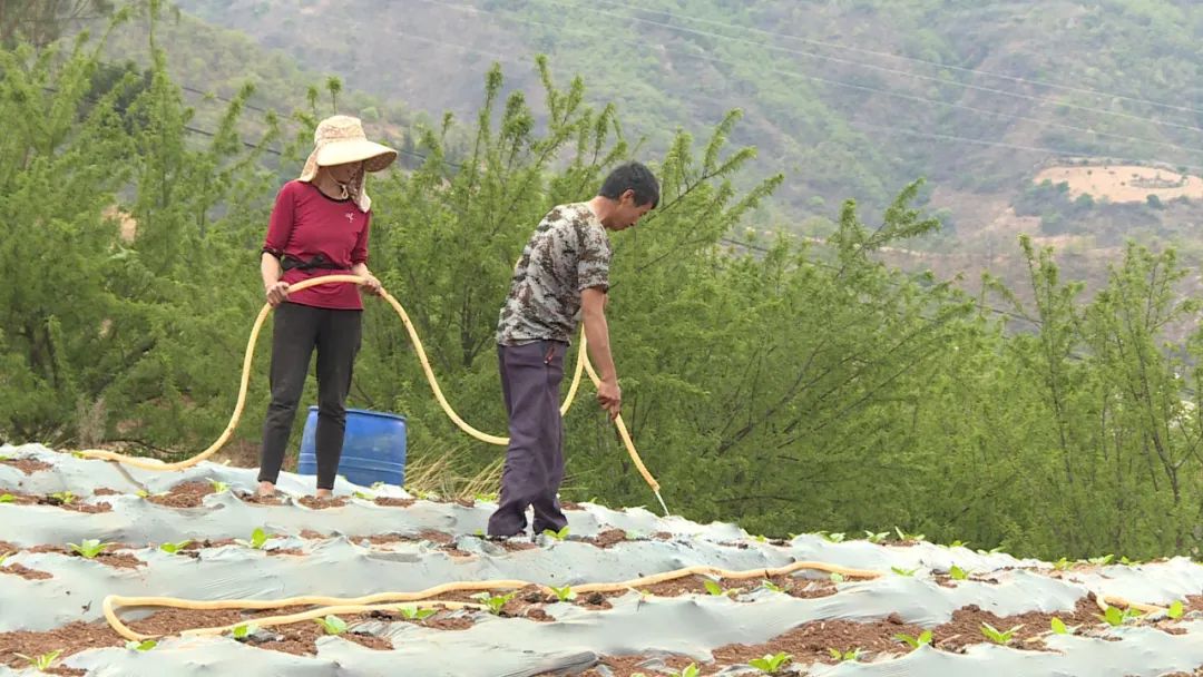 山乡巨变展新颜,山乡巨变