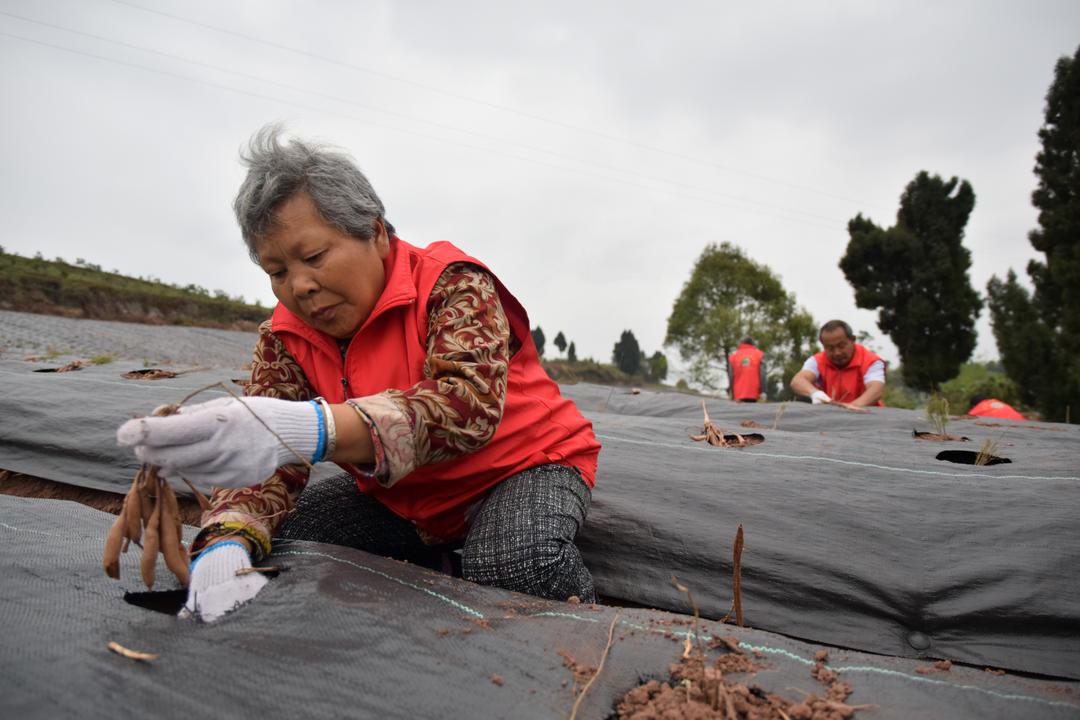 内江市东兴区康厚林书记,区委书记康厚林同志