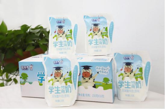 花花牛的学生专用牛奶,花花牛风味鲜牛奶