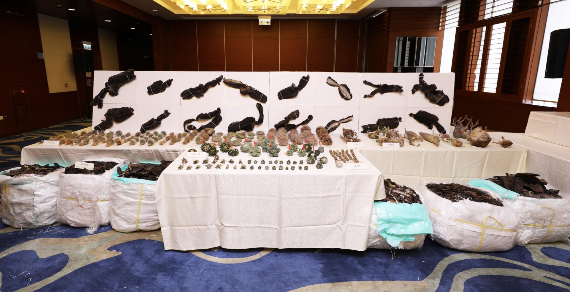 香港海关破获史上最大案,香港海关侦破史上最大案