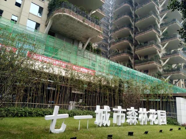 长满绿植的楼房,爬满绿植的建筑