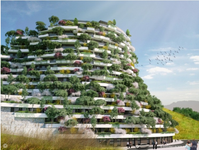 长满绿植的楼房,爬满绿植的建筑