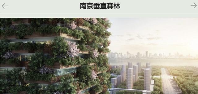 长满绿植的楼房,爬满绿植的建筑