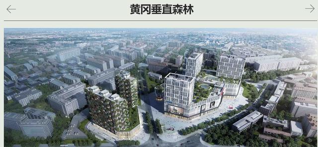 长满绿植的楼房,爬满绿植的建筑