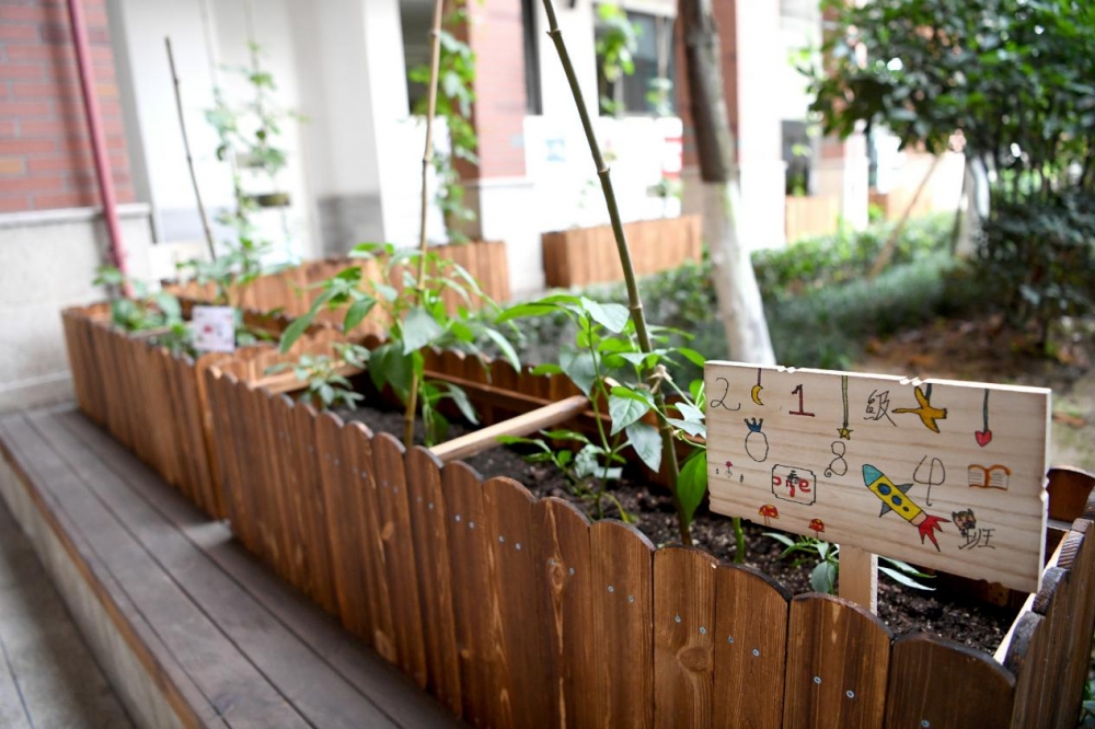 两江新区打造高端教育,两江新区教育的变化