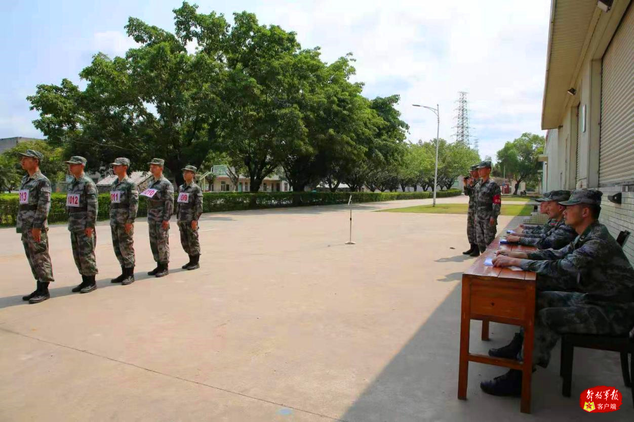 出国维和要办理护照么,打算出国需要提前去哪个国家玩玩