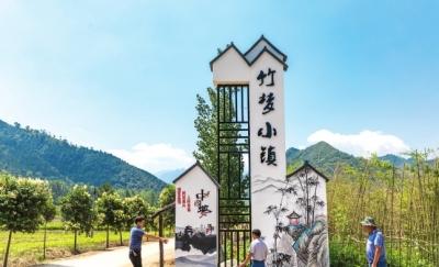 洛南高质量发展新篇章,洛宁县建设规划