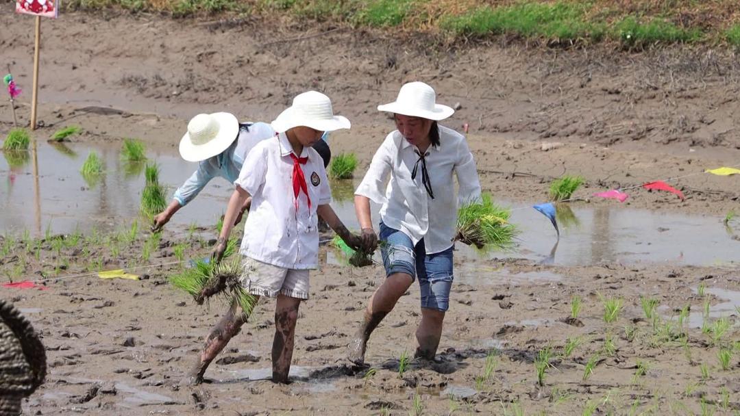 惠聚南通夏季购物节,惠聚春季特卖会