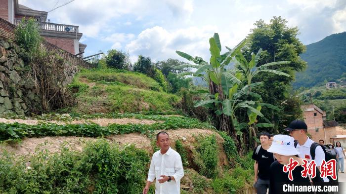 安溪世界级藤铁工艺之都,藤铁工艺未来发展