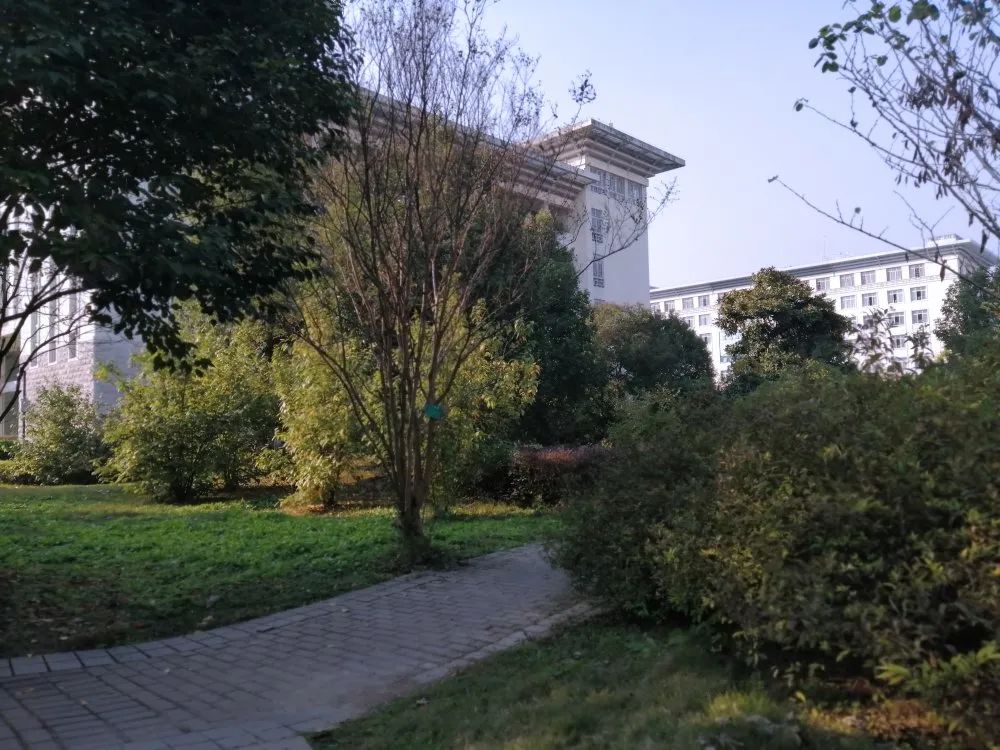 湖北中医药高等专科学校招生简章,湖北中医药高等专科学校2021招生