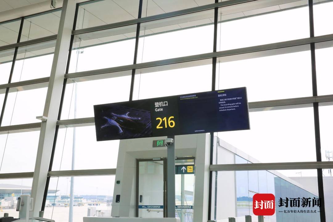 游客视角看神鸟｜大型绿色智慧“面子工程”用了特别材料的玻璃幕墙长这样