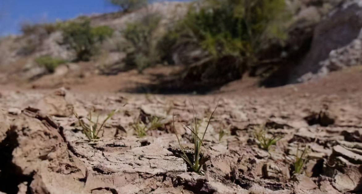 巴西遭严重洪灾,巴西干旱2019