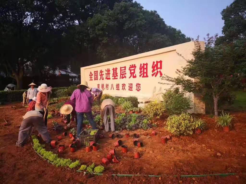 当村民小组长43年，周宝生干得怎么样？