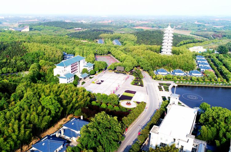 当村民小组长43年，周宝生干得怎么样？