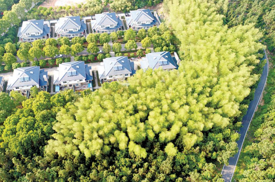 当村民小组长43年，周宝生干得怎么样？