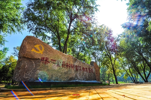 建党百年新闻联播,建党百年特别节目河南篇