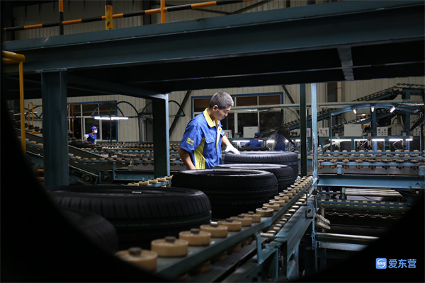 东营市成绩,东营市各县区排名