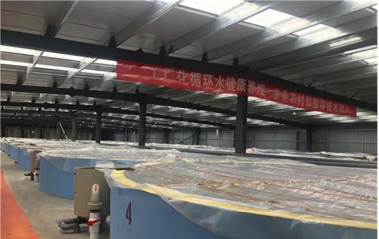 养殖海虾的真实利润,山区小河里养虾有用吗