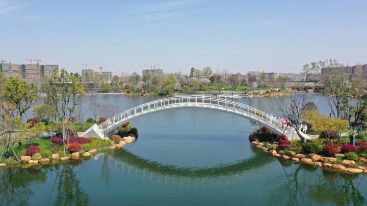 右手西湖，左手黄浦江，杭州有个“小上海”：在临平，年轻是资本，更是未来