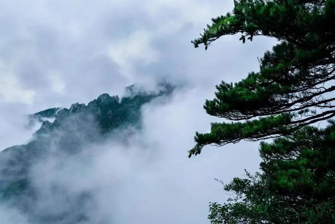 秦岭最美的商洛,商洛秦岭最美风景