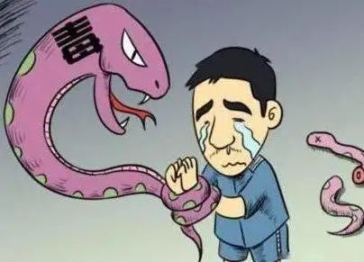 服用“神物”能“通灵修仙”？还真有人信了……