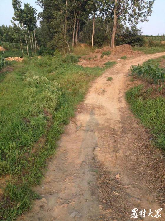 最忆是乡间|行路