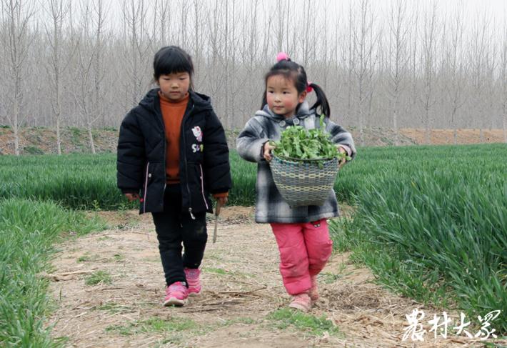 最忆是乡间|行路