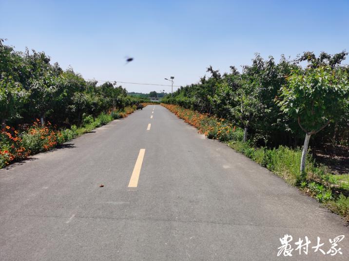 最忆是乡间｜行路