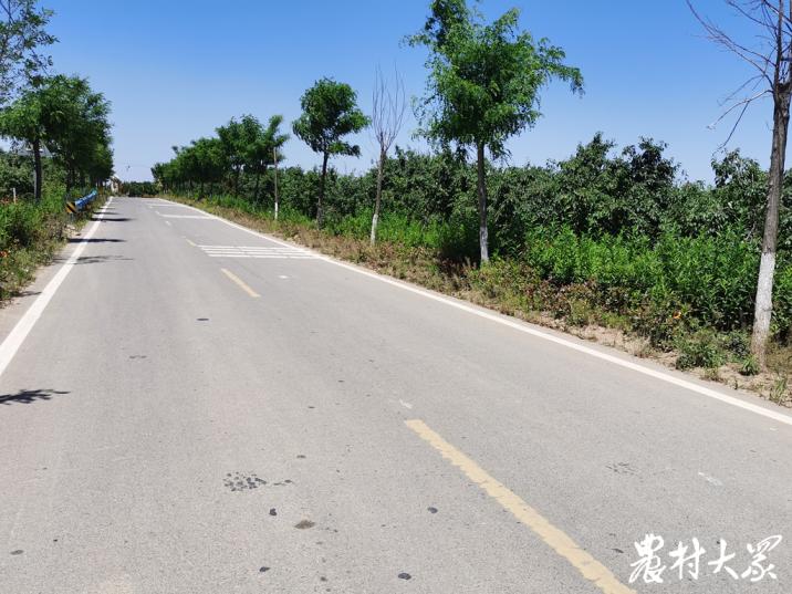 最忆是乡间|行路