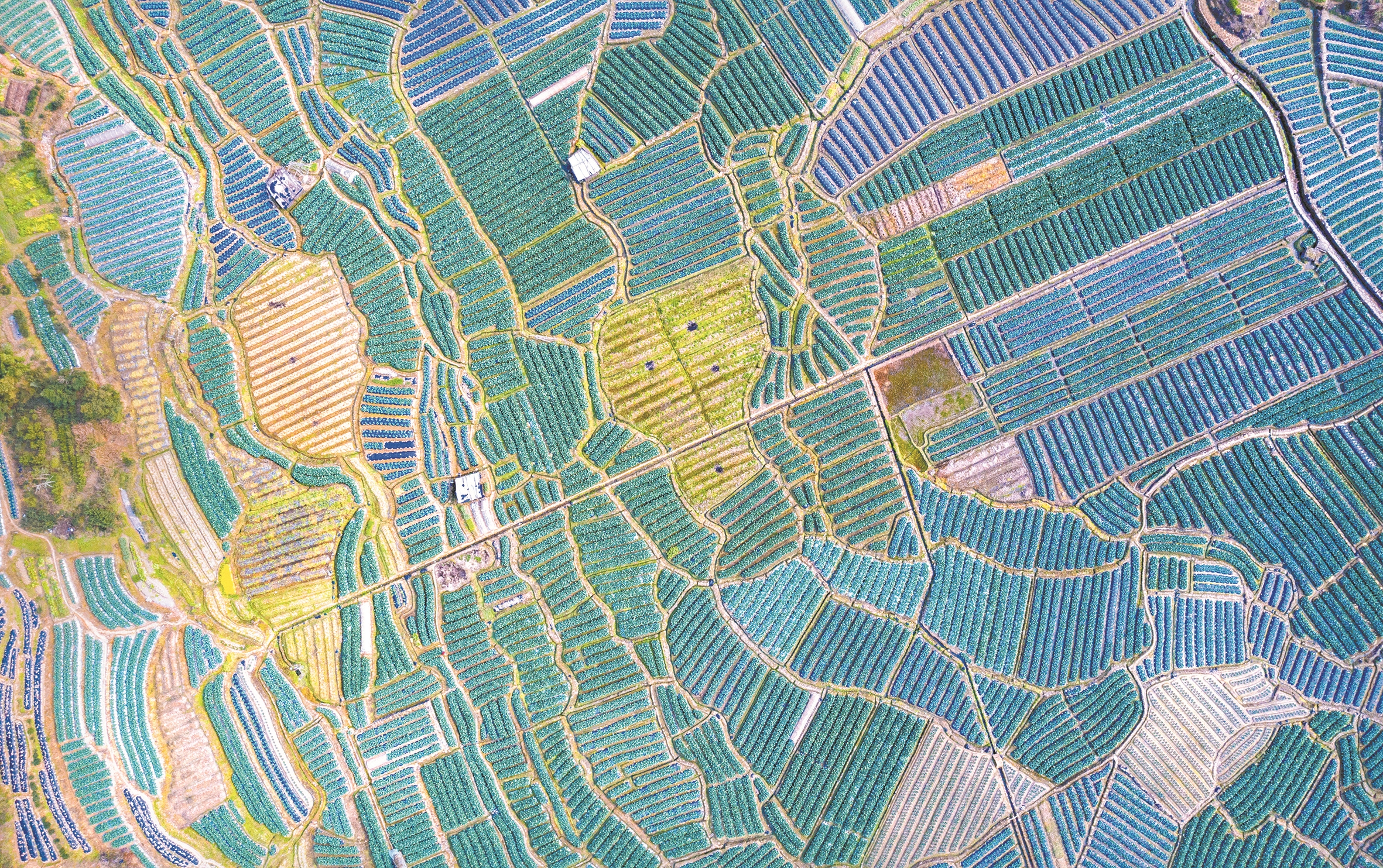 屏南24年规划,屏南发展规划