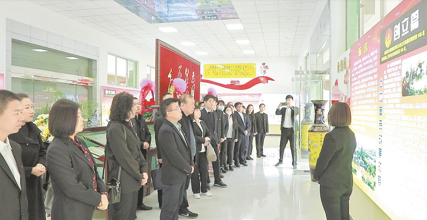 强党建促发展保稳定,强党建促发展创品牌促提升