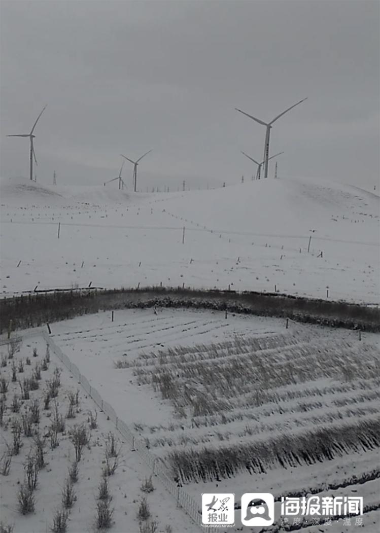 聊城人的援青日记⑤|援青医生王彦鹏:选择援青并不是我有多么高尚……