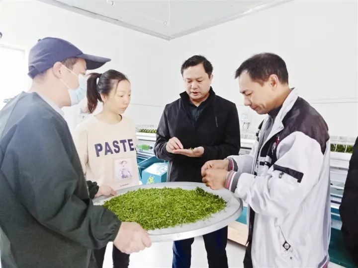 马山县：“三牛”精神勇当先精耕为民“责任田”