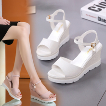 闲雪诸城茶楼服务员工作服，国光葫芦岛儿童抱毯，乌海空气清洁器，银女仔动公司